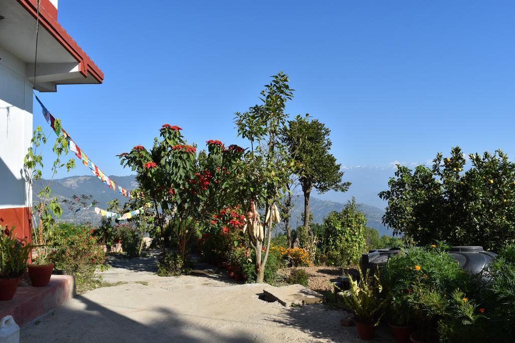 Tashidelek Guest Lodge & House ดูลิเคล ภายนอก รูปภาพ